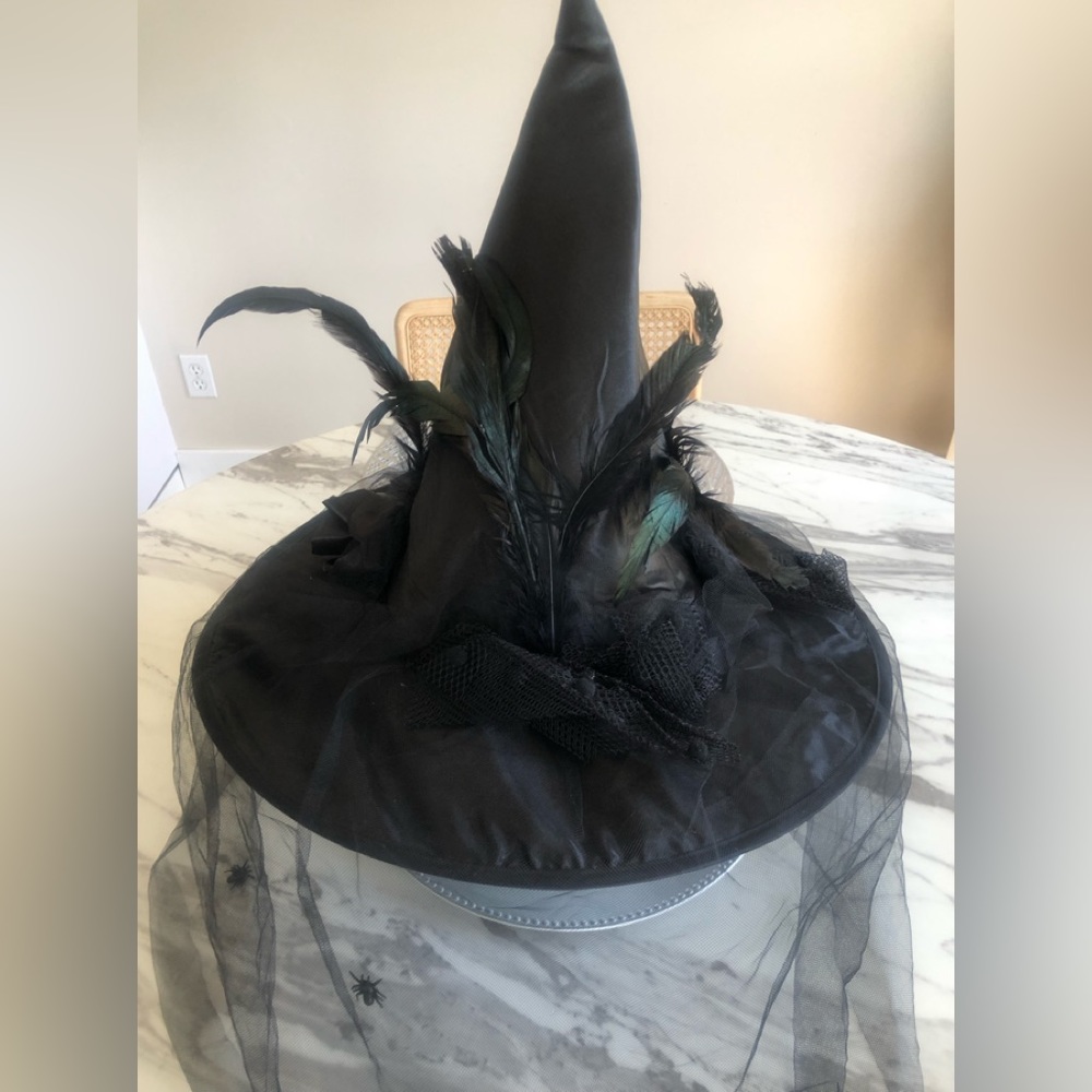 Gorgeous Witch Hat- Reduced!!!